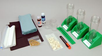 Plant Kit